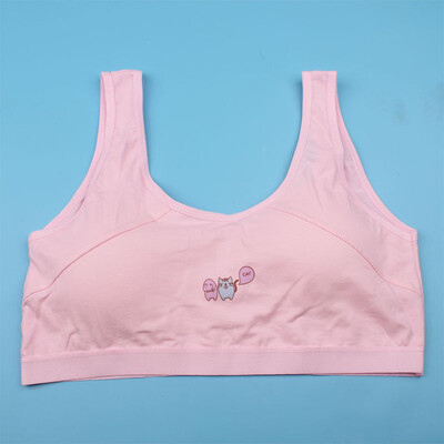 

Kids Girls Underwear Foam Bra Vest Children Underclothes Sport Undies Clothes