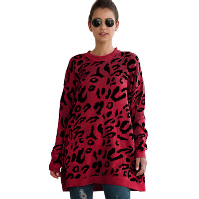 

Women Winter Leopard Printed Round Collar Loose Concise Casual Long Sleeve Personality Sweater
