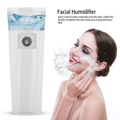 

Greensen 2 in 1 Multifunctional Handheld Facial Humidifier Mister Sprayer USB Power Bank