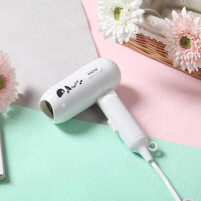 

Mini Portable 450W Hair Dryer With 2 Speed Settings Energy-efficient Folding Blow Dryer For Home Chinese Plug