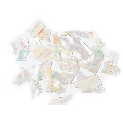 

1 Box Natural Shell Piece Multicolor Fragments Nail Patch Nail Art Decor