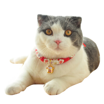 

Dream bubble cat collar cat ring cat collar bell dog small dog collar collar collar collar pet supplies