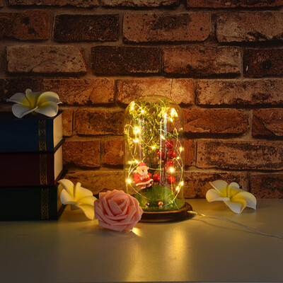 

Gobestart Wire Lamp Microscopic Scene Ornaments Santa Claus Red Fruit