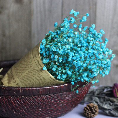 

Gobestart Natural Dried Flower Babys Breath Home Decor Natural Dried Flower Full Stars Gy