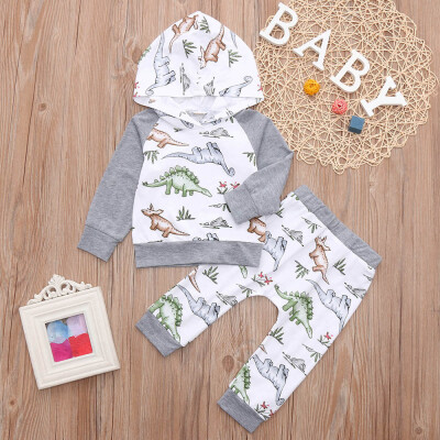 

Infant Baby Girls Cartoon Dinosaur Print Hooded Tops Pants Outfits Clothing Set