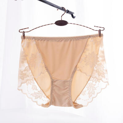 

Woman Panties Underwear Briefs Lady Sexy Lace Breathable Female Panties Underwear For Women Sexy Lace Briefs