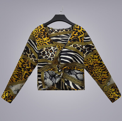 

Roseonmyhand Womens Fashion Long Sleeve V-Neck Leopard Print Tops Shirt
