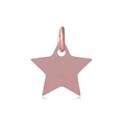 

304 Stainless Steel Charms Star Rose Gold 11x12x11mm Hole 4mm