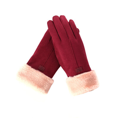 

Womens Winter Warm Gloves Touchscreen Outdoor Female Gloves with Fluff Lining