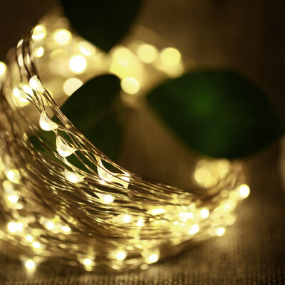 

Gobestart 100 LED Strings Light Waterproof Flexible Copper Wire Decorative Lights