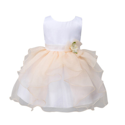 

Toddler Cute Girls Fancy Tutu Dress Party Ball Gown Wedding Flower Baby Princess Dresses