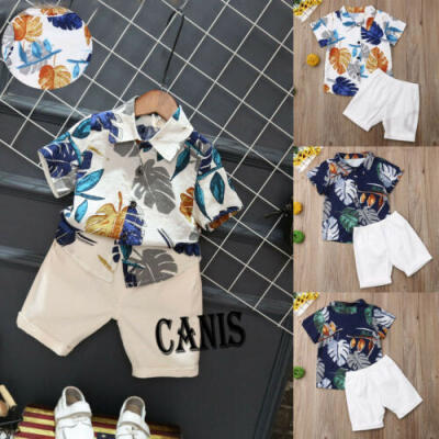 

Toddler Kid Baby Boy Cotton Clothes Print Outfits Short T-ShirtPants Tops US