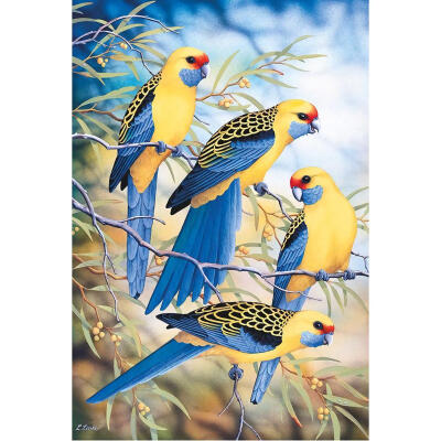 

5D DIY Full Drill Diamond Painting Birds Singer Cross Stitch Embroidery Kit