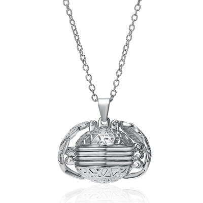 

Rinhoo 1pc Photo Pendant Memory Floating Locket Necklace Angel Wings Round Ball Openable Long Chain Necklace Family Friends Gift