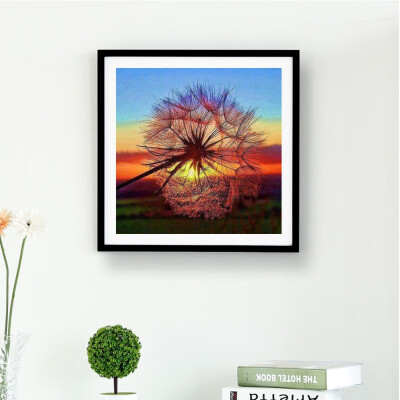 

Pictures By Numbers 5D DIY Diamond Paintings Kits Partial Diamond Covered Flower Dandelion Theme Paintings By Numbers On Canvas