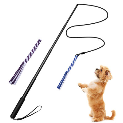 

Gobestart Dog Outdoor Toy Extendable Teaser Wand With 2 Rope Chew Play Toys Training Exercise