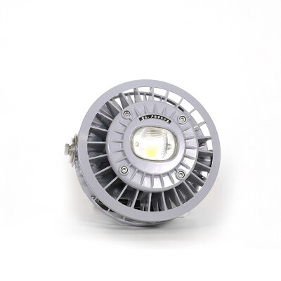 

Tormin Explosion Proof LED Floodlight BC9306S