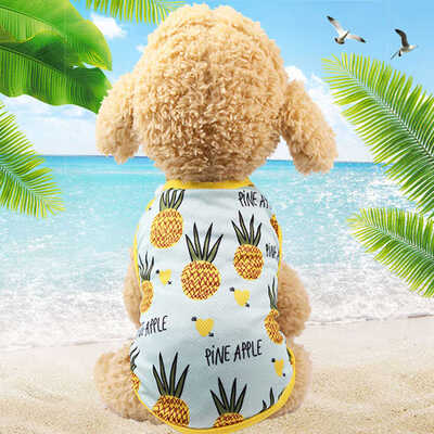 

Summer Dog T-Shirt Lovers Pet Clothes -Xl Dog Skirt Pineapple Banana Fruits Printed Strawberry Pet Supplies Dog Clothes