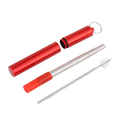 

Reusable Straw Stainless Steel Drinking Straw With Keychain Storage Case And Cleaning Brush portable Straw Drinkware