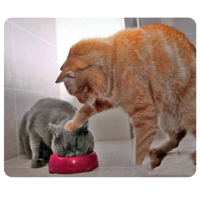 

CAT-9 Mouse Pad Cute Cat Picture Anti-Slip Gaming Mouse Mat for PC Computer Laptop MackBook