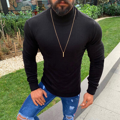 

Men Stretchy Long Sleeve Turtleneck Pullover Shirts Tops Slim Fit Autumn Sweater