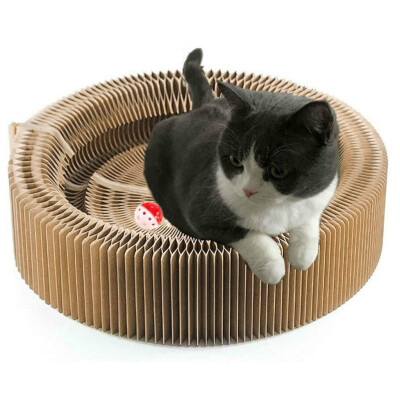 

Siaonvr Cat Scratcher Lounge Bed Collapsible Round Shape Scratching Board