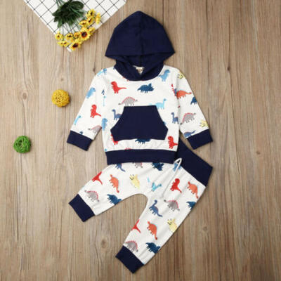 

US 2PCS Infant Baby Boy Girl Long Sleeve Dinosaur Hooded Tops Long Pants Clothes