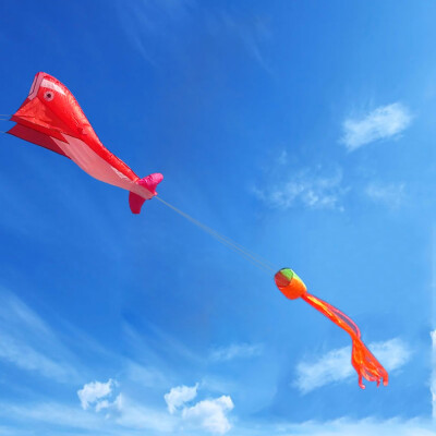 

Tailored software dolphins Long Tail Beach Kites-Perfect Toy for Kids&Adults Outdoor