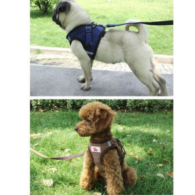 

US Leash Small Pet Control Harness Dog Soft Mesh Walk Collar Safety Strap Vest