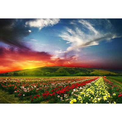 

5D DIY Full Drill Diamond Painting Color Flowers Ocean Cross Stitch Mosaic