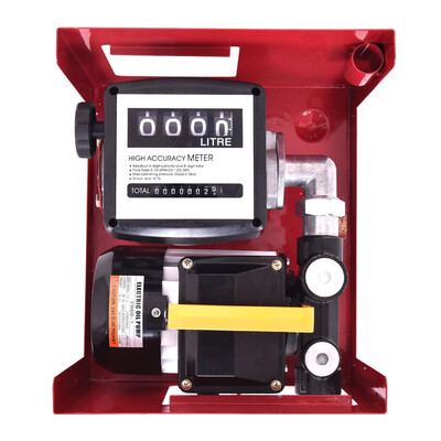 

110V Electric Diesel Oil Pump With Meter 13 Hose And Nozzle
