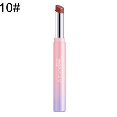 

3g Waterproof Lipstick Sexy Long Lasting Matte Velvet Moisturizing Lip Makeup