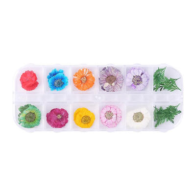 

3D Nail Art Dried Flower Leaf DIY Manicure Preserved Natural Floral Sticker