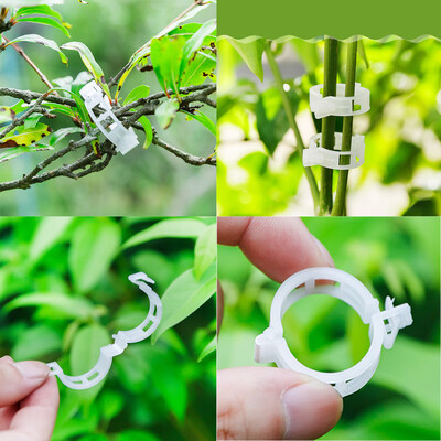 

Siaonvr Tomato Clips Trellis Garden Flower Vegetable Binder Twine Plant Support