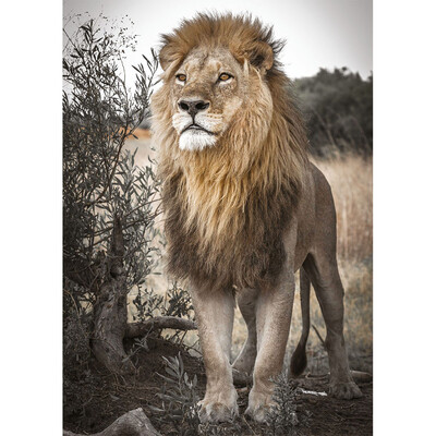 

Toponeto 5D Embroidery Paintings Rhinestone Pasted DIY Diamond Painting Cross Stitch