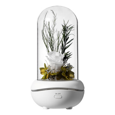 

Gobestart LED USB Romantic Eternal Flower Aroma Lamp Colorful Ambience Lamp Rose Wedding