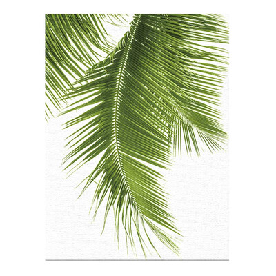 

3 Styles Palm Leaf Wall Sticker Home Hanging Wall Frameless Painting Poster Decoration Murals Nordic Home Watercolor Wallpaper
