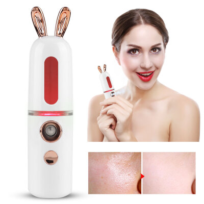 

2 Colors 30ml Nano Atomization Mist Sprayer Face Skin Moisturizing Mist Spray Rabbit Type Nano Sprayer Atomization Sprayer