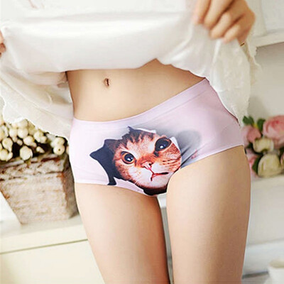 

Hot Selling Cartoon Panties Womens Underwear Briefs 3D Printing Panty Cat Panties Sexy Girls Lingerie Intimates Women Panties
