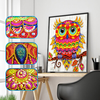 

Siaonvr Special Shaped Diamond Painting DIY 5D Partial Drill Cross Stitch Kits Crystal R