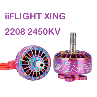 

Tailored 2Pcs iFlight XING 2208 1700KV Brushless Motor 2-6S For FPV RC Drone