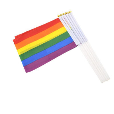 

6pcs Rainbow Flag Colorful Peace Hand Waving Banner LGBT Gay Parade Bunting