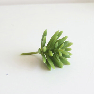 

Artifical Plastic Succulent Plant Cactus Echeveria Flower