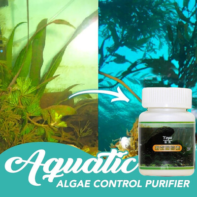 

〖Follure〗Aquarium Algaecide Aquatic Algae Control Algae Detergent Purification Water