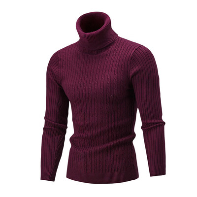 

Winter Fall Men Knitted Turtle NeckSweater Long Sleeve Pullover Jumper Knitwear
