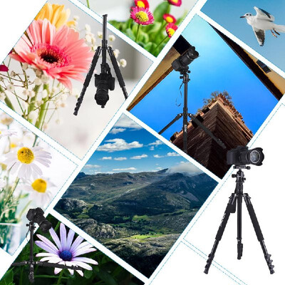 

ZOMEI Q555 63 Inch Lightweight Aluminum Alloy Travel Portable Camera Tripod with Ball Head Quick Release Plate Carry Bag for Can