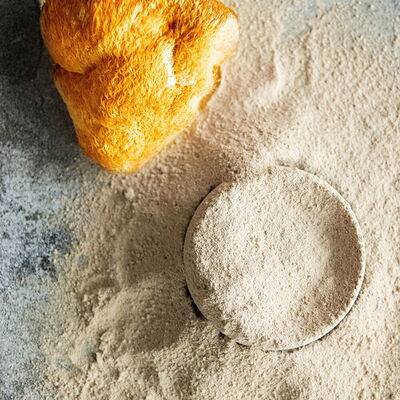 

Organic Lions Mane Mushroom Powder Powdered Bearded Tooth Hericium Erinaceus