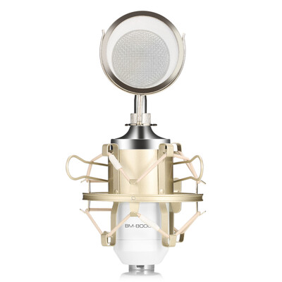 

LEIHAO BM - 8000 Professional Sound Studio Recording Condenser Microphone with 35mm Plug Stand Holder