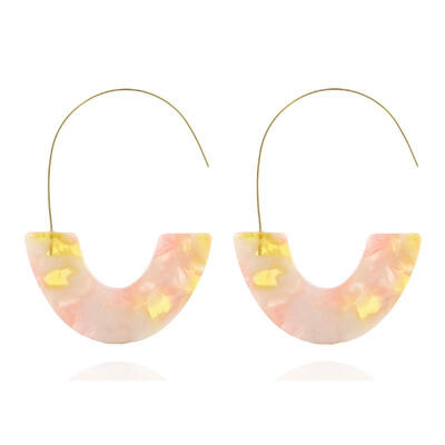 

Hot Sale Fashion Leopard Print Big Hook Earrings Special Design Bohemian Semicircle Resin Dangle Drop Earrings For Women Brincos