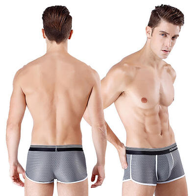 

Mens Ice Silk Underwear Sexy Breathable Extra Soft Ultra-Thin Mesh Boxer Briefs For Men